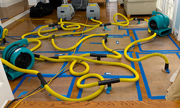 Professional Sewage Cleanup technician working in Auburndale, MA